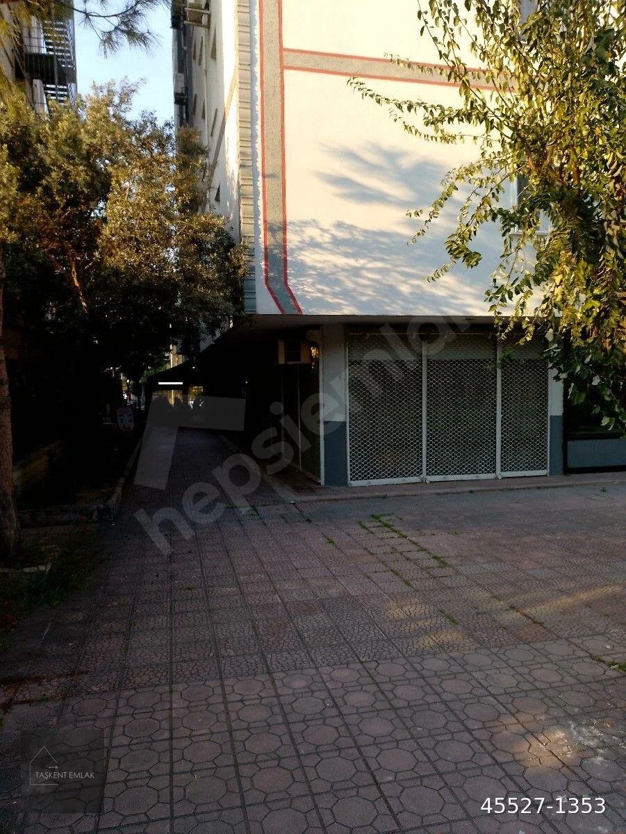 CENTRAL HOSPİTAL HASTANE YANI 20 m2 LAVABO WC VAR DEMİR KORUNAKLI KİRALIK İŞYERİ küçük görsel 5